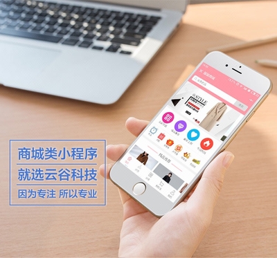 微信小程序拼團(tuán)商城平臺(tái)定制開(kāi)發(fā)開(kāi)發(fā)云APP開(kāi)發(fā)